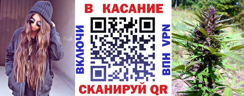 Галлюциногенные грибы Новосиль