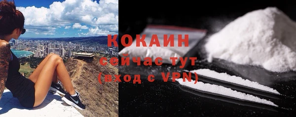 молекула духа Козловка