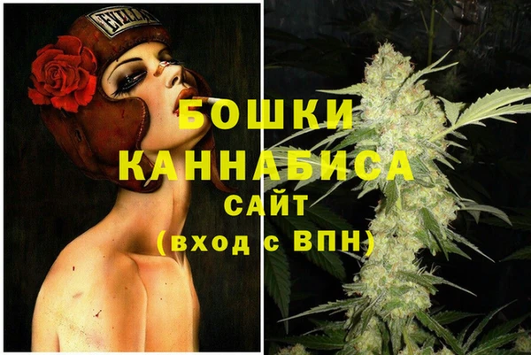 молекула духа Козловка
