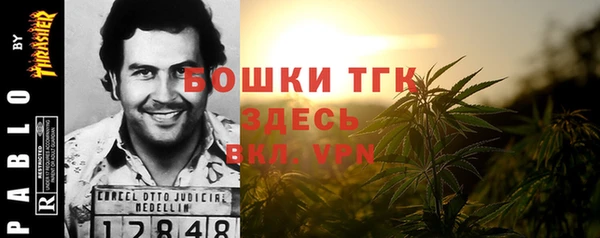 mix Козельск