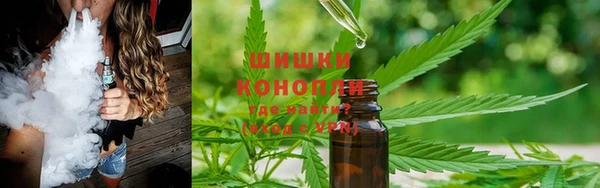 молекула духа Козловка