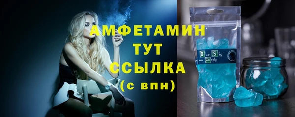 молекула духа Козловка