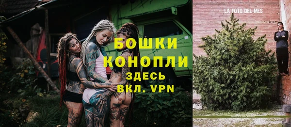 молекула духа Козловка