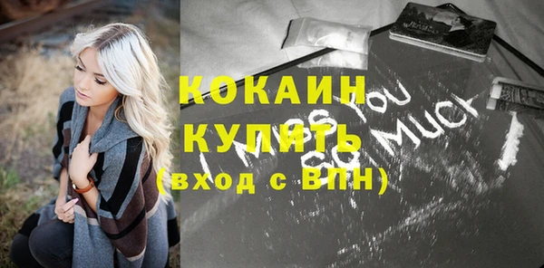 молекула духа Козловка