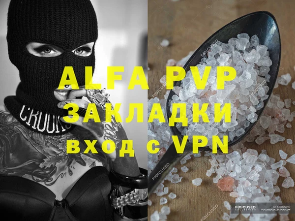 молекула духа Козловка