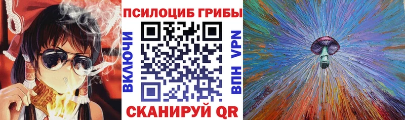 Галлюциногенные грибы прущие грибы  Купить закладки  Новосиль 